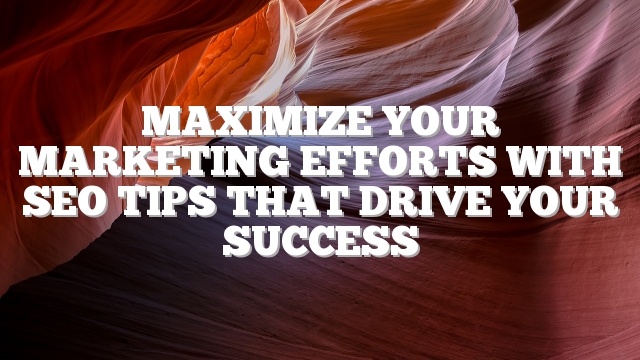 Maximize Your Marketing Efforts With SEO Tips That Drive Your Success